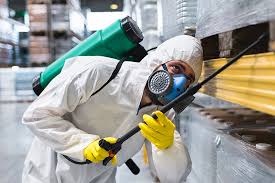 Best Fumigation Services  in Marysville, WA